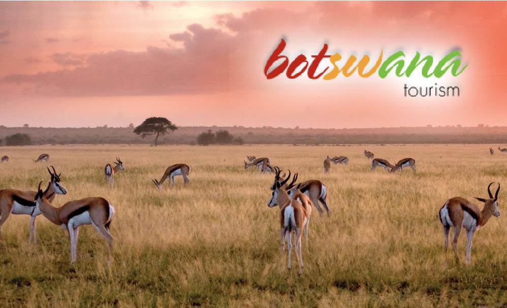 travel health botswana